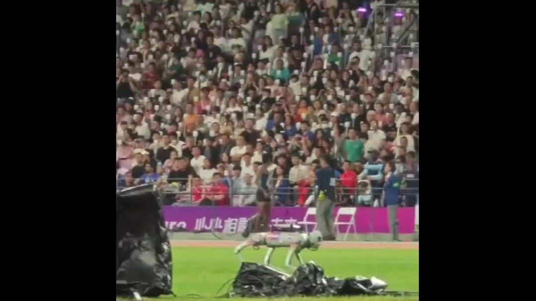 Chó robot thay người làm việc tại Asiad 2023